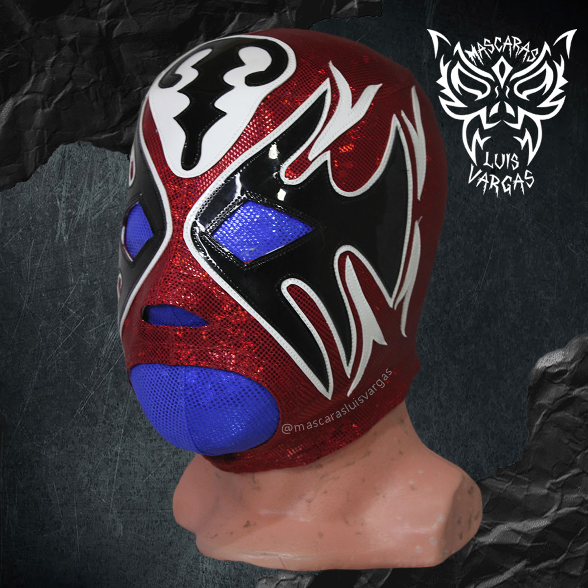 MSPTLNTS 01 (copia) - Imagen 3