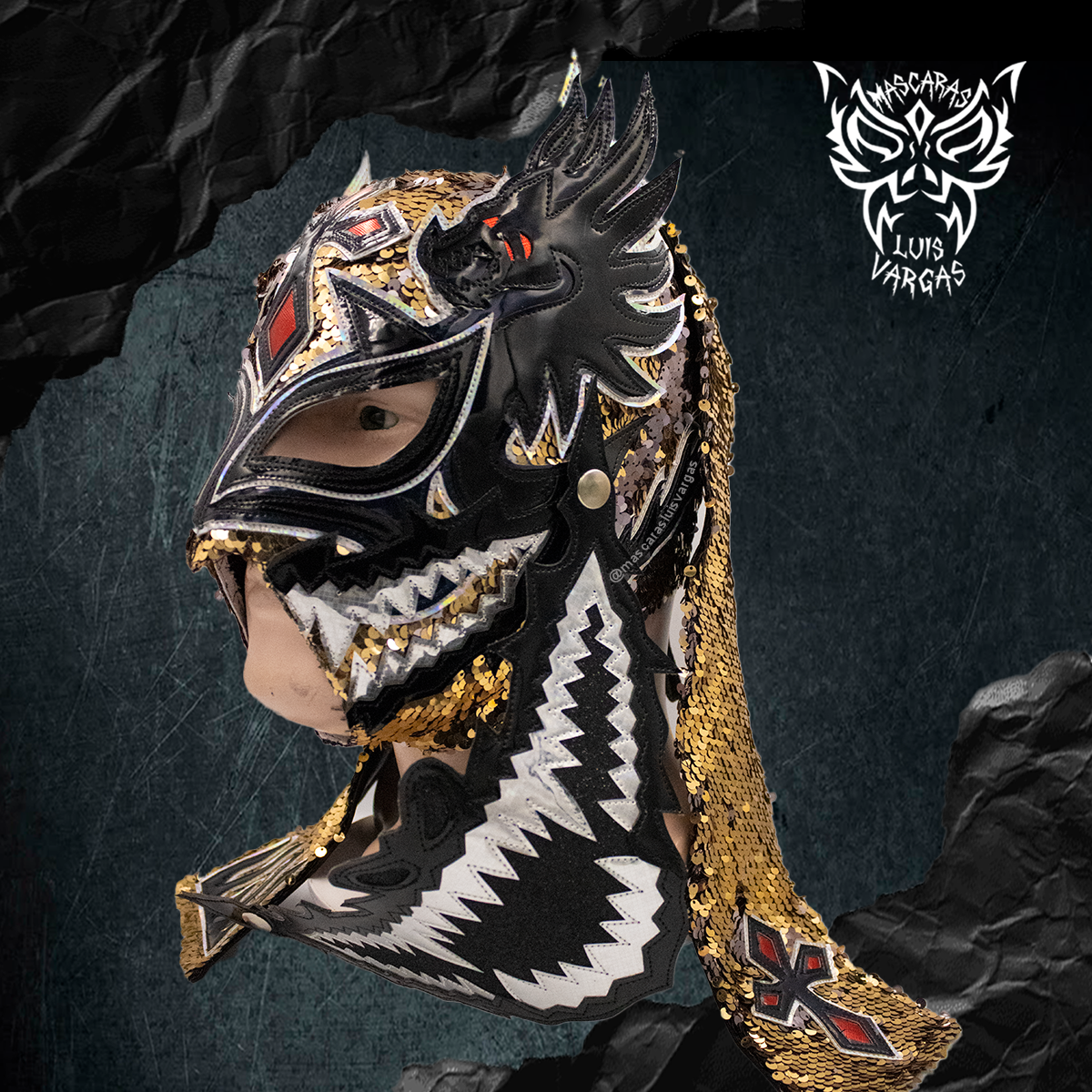 MSPLVDRLSTC02 - Imagen 4