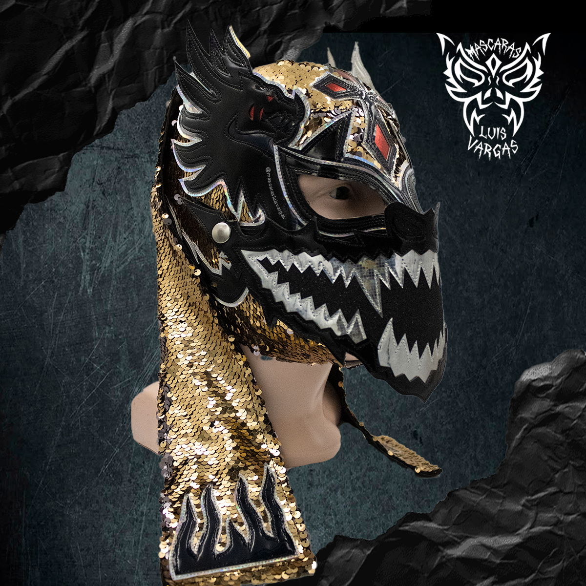 MSPLVDRLSTC02 - Imagen 2